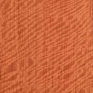 Bubinga Quartered Fiddleback