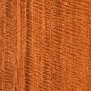 Sapele Quartered Fiddleback