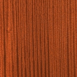 Sapele Quarterer Cut Ribbon