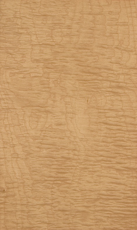 Maple Wood Veneer – Flat Cut